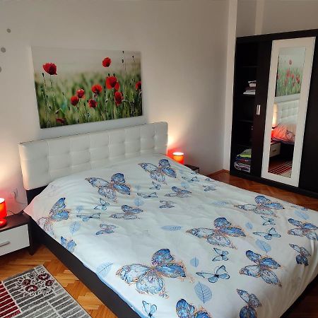 Lovely 1 Bedroom Apartment In City Centre, Sleeps 4 ! Турда Екстериор снимка